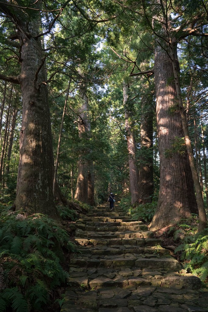 Daimonzaka steps through the forest up to Nachi Falls